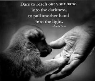 5b2b1fe9-1822-4485-b52e-f93218ec4e89