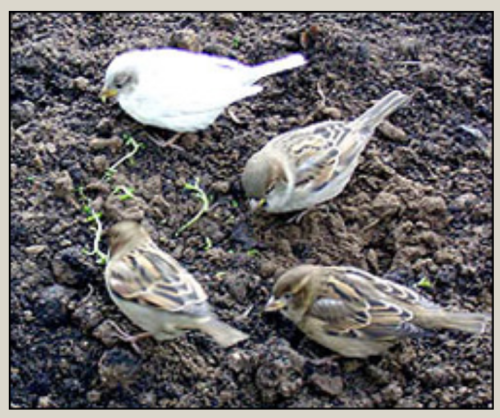 Screenshot_2022-04-07-03-20-28_kindlephoto-5359285