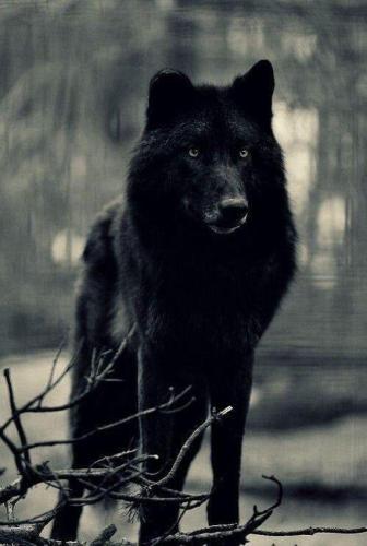 259ec6ee-b8ce-4f33-81da-d91106e0cb30