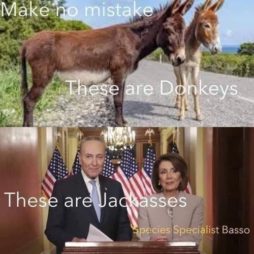 8832312f-33cd-46e9-b4ed-da7e973376f5