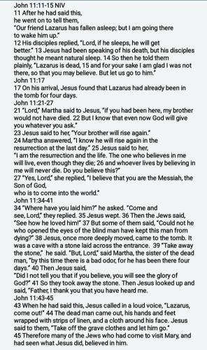 a7b9a1fa-69b7-471e-a073-1493f3bf221b