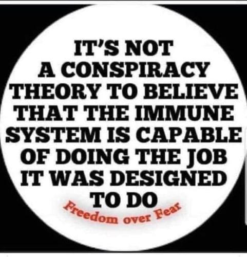 279187348_5462491660452182_2063856838470582266_n