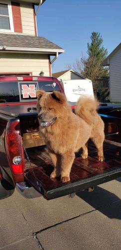 d449798e-c06e-4c92-a772-fe9745b386ad