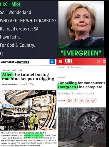 e3e21cf9-1154-45ff-95ca-bc558c46d566