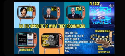 c360ce88-dd57-46df-8d9a-4c271338fc94