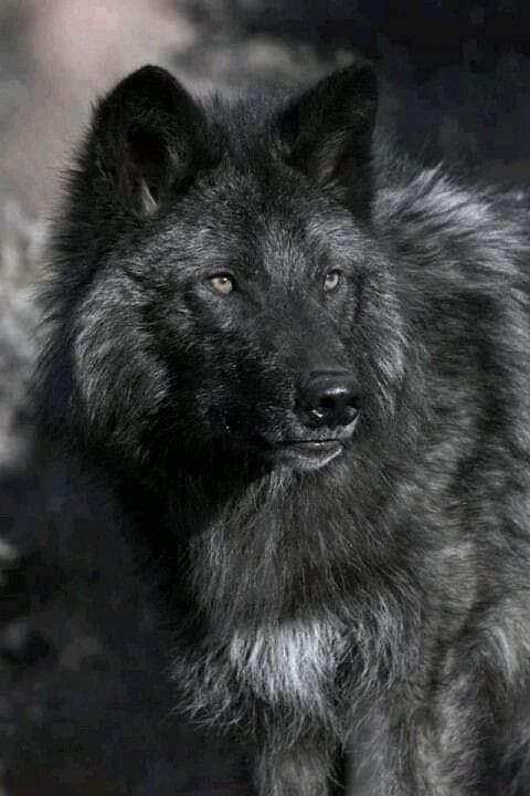 7ba1d177-eacb-4748-a754-8fc0a3ea64a4