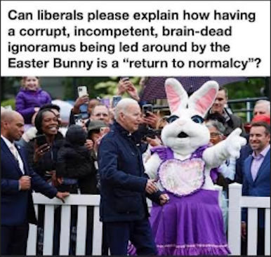 shitshow joe24