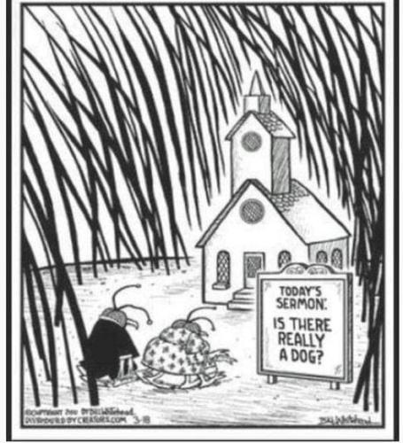 20d8a570-ada2-44f8-9639-319c3f211311