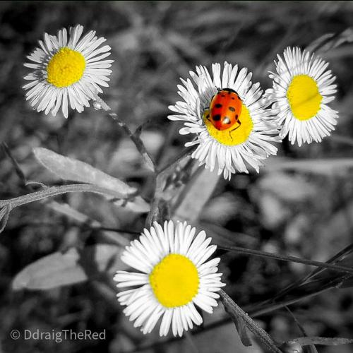 95a60343-a644-4c9e-aad2-f8353fea7f5f