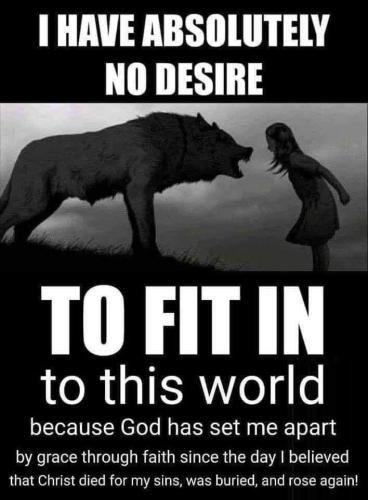 d5651c7c-6701-4bd7-9312-5f5c34bd9550