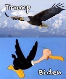 trump152
