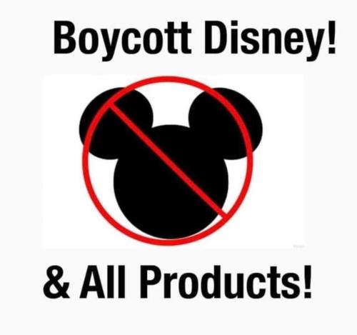 277797646_1037564593841534_3563988418917505055_n