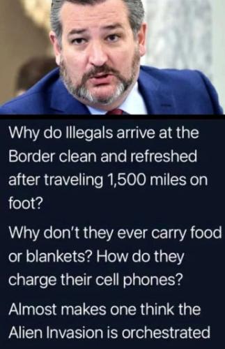 illegal immigration279