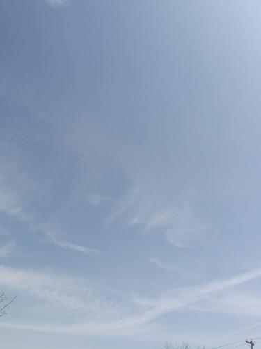 195b2a0f-4d0e-48d9-bed2-177fe1f34621