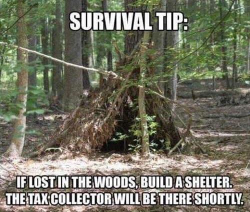 06DEE808-F428-4269-AF4A-58CCEC179885