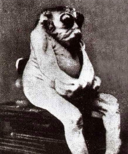 Screen Shot 2021-07-27 at 12.46.27 PM