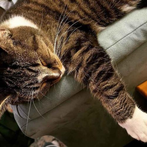 34735b92-7c3b-495e-9f43-43bc9e6400f5