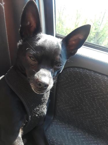 12:21:40 GMT-0400 (EDT)