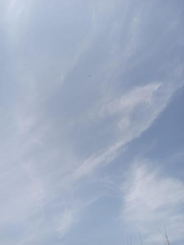 3e1b2ff2-dea5-4a00-9713-011d00486da1