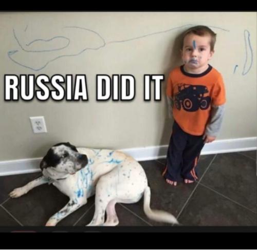 fef7953a-eb34-4bb1-8754-32280b57772f