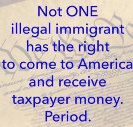 illegal immigrant m