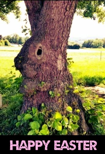 photo_2022-04-17_11-30-19