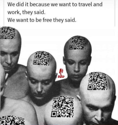 278270968_392569106022150_4353327661411906203_n