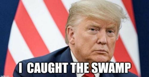 d0c27145-8f1e-4338-a7f7-a435a5049e72