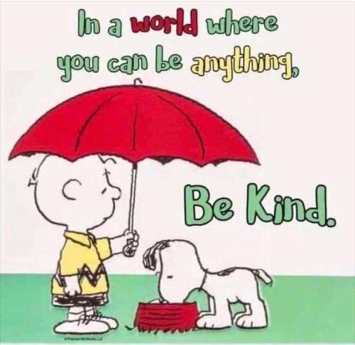 d905e559-f675-4b67-aca3-df80032552c2