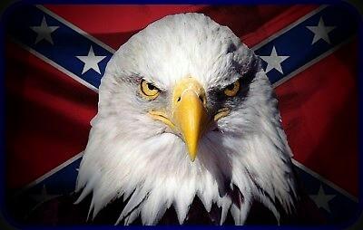 b2587bd0-ca9e-4630-8dea-0a0a29066fb4