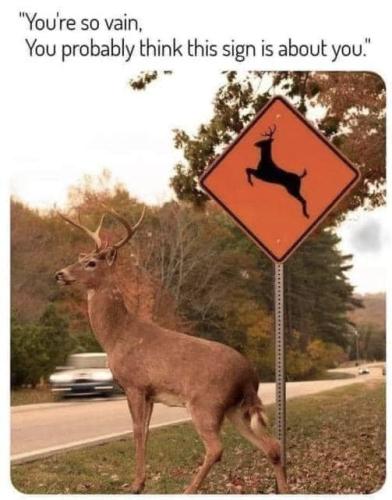 278203935_4979687632107840_5227277936695639767_n