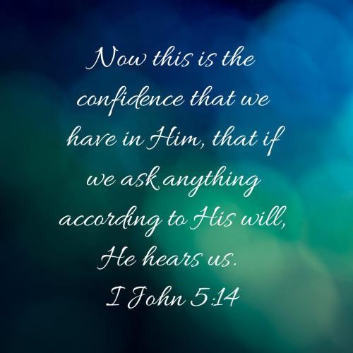 d5ff583d-3ccf-4e8e-8f26-a07e4e763a26