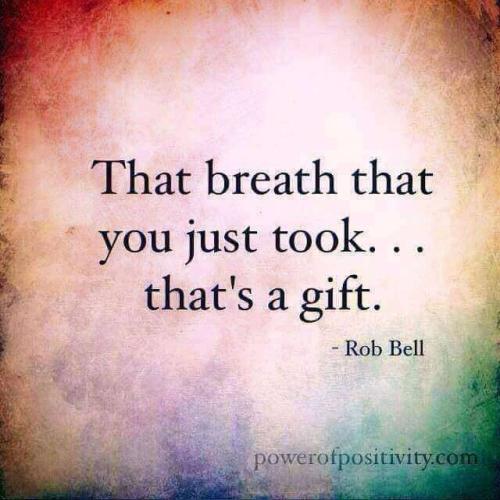 14556bc3-2c2c-42c3-9264-15bba418bcb4