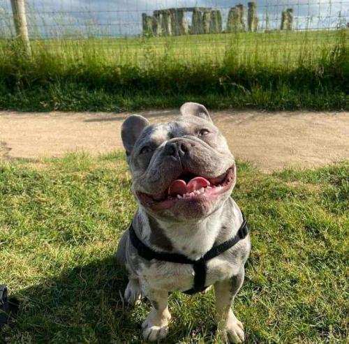 09827791-e41b-4c13-9354-554ccedb81be