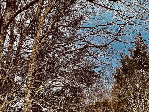 4A0F7F3D-8D16-4AFD-9911-327D1BC937CC