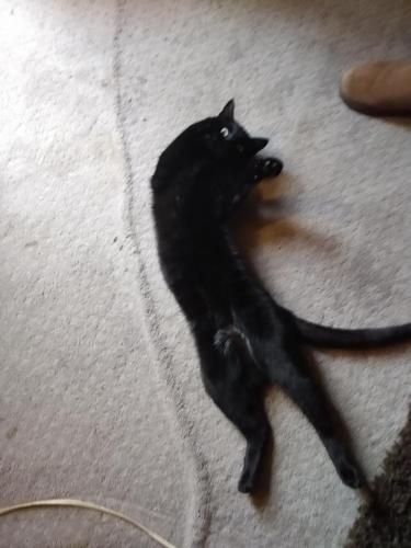 e3ca2ffa-a742-4749-ac4e-5051e66e732d