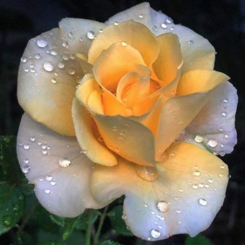 20:31:47 GMT-0500 (CDT)