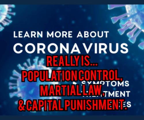 Polish_20200503_053459408