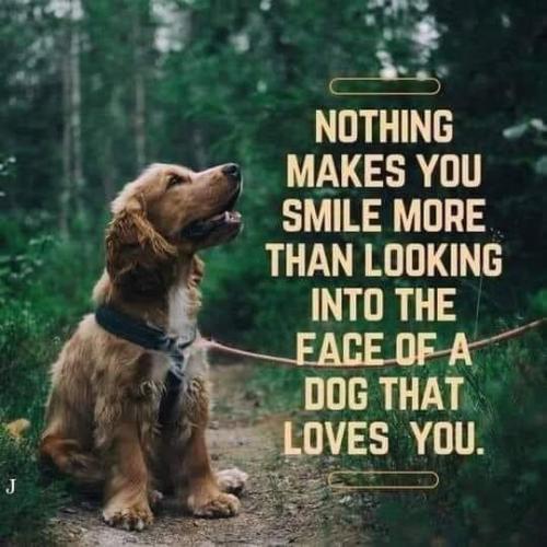 12:21:40 GMT-0400 (EDT)