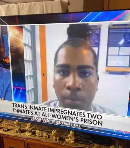 45613413-0d07-4cf3-a473-a54a3738c615