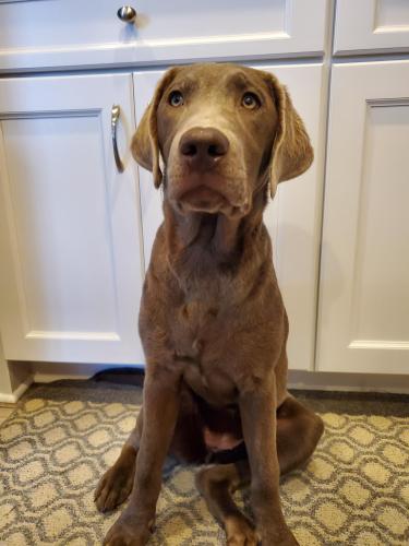 6b0544b2-17cc-45a3-8080-78e3d5b93cf5