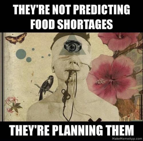 photo_2022-04-11_09-10-12