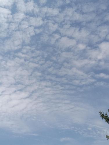 9c3b792e-46f3-4b63-8874-4bac5f181a85