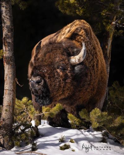 tumblr_006d4725fa50011485430c43bdb727d7_ddb93ab3_540