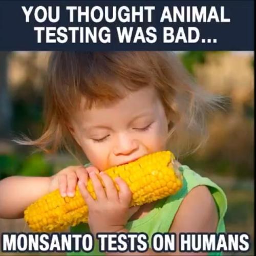 f6a02747-8c31-4b15-ab0f-d8ef13b5fd69