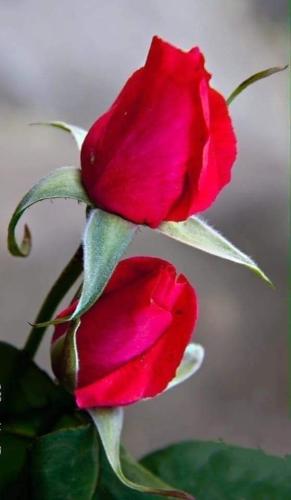 07:54:27 GMT-0500 (CDT)