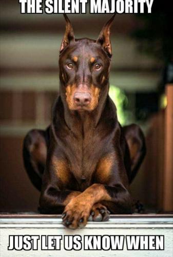 3483d589-840a-4064-9b8d-dfe5536ac62d