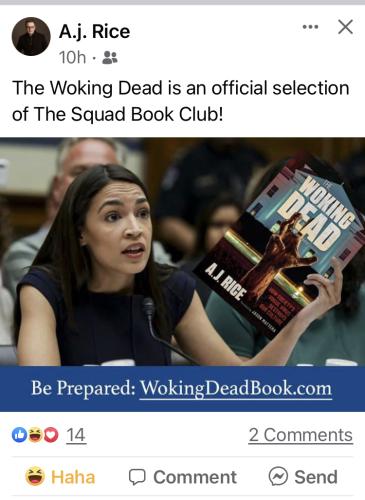 Lots of pictures, and not too many big words