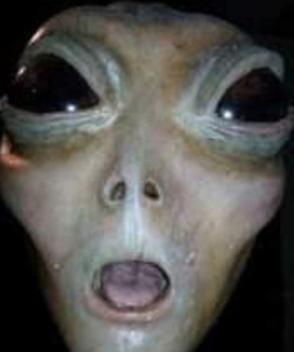 Screen Shot 2021-07-27 at 12.55.34 PM