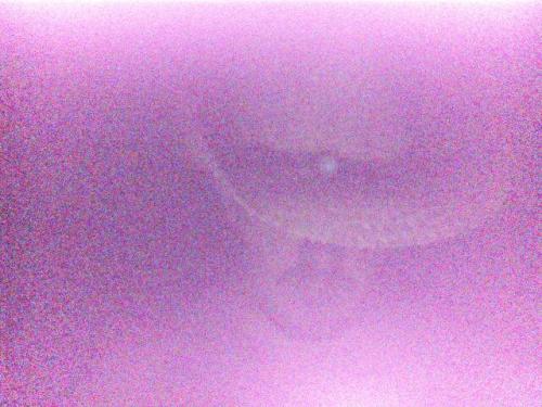 61c42efa-07c6-41be-9e5a-9d32cae55ccc